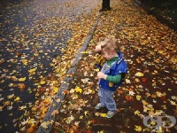 �������� ������� ����� ������