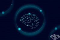 Наличието на инсулинова резистентност е свързано с повишен риск от инсулт