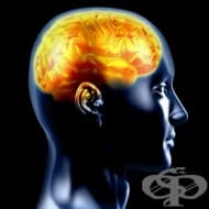 ���������� ��������� ���������� ������