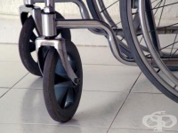 ����� ������ ������� �� �������������� ����, �������� ����� �� �������� ������