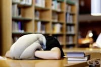 ����� 5 �� ���-������ �����������, �������� � ������� �� ��������