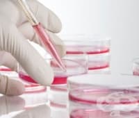 ���������� ��� ����� �� �������� �� ������� - ���� ����