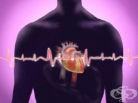 ���������� ����������, ����� ������� ���������� � ������� �� �������