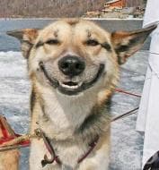 ������� ��������, �� � ��������� ���� ������������ �� �� �����