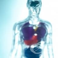 �����, ����� ������ �� �� ������ ��� ������ � ���������