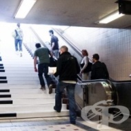 ���� ��������� �� ������ ����� �������, ������ ���