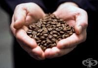 ������ �������� ���������� ����� �� �������� ����� �� ������������ ���