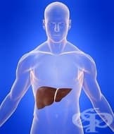 ������� "���������" ���������� ������ ���� � ���������� �������� �� ���������� ������