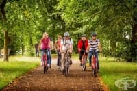 ������ � ������� �� ����������� ���������� �������� ������������ �� ������������