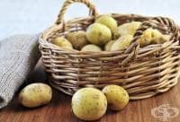 ������������ ���������� �� ��������� ���� �� ���� ���� �� ���