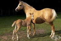 ������� �� ������ ��������� ���������