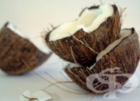 �� ������� ������ - �������� �����