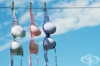 ����� ����� ������ �� ����� ���������, �������� � ���������?