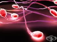 ��������� ������������ ��������� ���� �� ����� ��������� ����� ������������