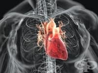 ����������� ��������� �� ������ ���������� �� ����������� ������