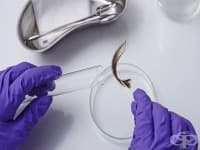 ������ �� ������ �� �� �������� �� 124 ����