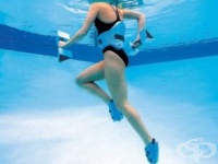 ����������� ���������� � ����� ���� ������� �������� � �������� ��������