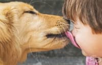 ������� ������� �� ������ ���� �� ������� ������