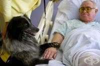 �������� ������ ��������� ����� � ������� �� � ��������