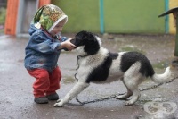 Кучето предпазва децата от астма