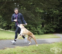 ������ ���������� � ������� �� ��������