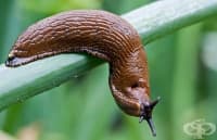 ����������� �� �������� � ���������� ������ �� ���� �� ���� ������