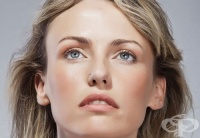 ������ �� ������ �� ���������� �������