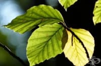 ��������� �����, ����� ���� �� ���������� ��������� ���������, ������ ��� �������� ��������