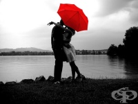 ������� �������� ���� �� �� ��������