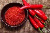 ������������ ���� ����� �� ����������   