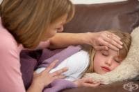 ������ �� ��-������� �� ��������� �� ������ ������ ����������