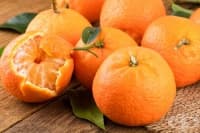 ����������� ����� �� �������� �� ��������