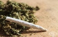 ����������� ������ �� ��������� ������� �������������� �����