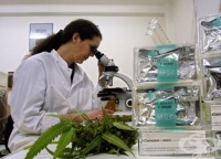 ����������� ���� �� ������ ��������� IQ