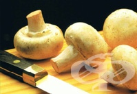 ������ ����� ���� �� 5 ��. �� �������