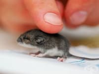 ��������� ����� ����� �� ���-�� � ������ �� �����������