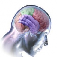 ��� �� �������� ������� ��