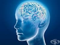 ��������� ����� ������ ��-����� ������ � ����� �����������