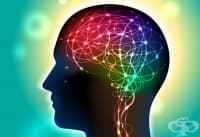 ��������� ����� ������ ��� � ����� �� �����