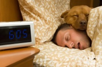 ������������� �������� ����� �� ���������� �����