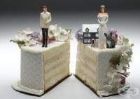 ���������� ���� ��������� ������� �� �����������