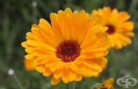 ����������� ��������� � ����� � ������� ���