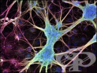 � ��������� ������� ������� ���������� �� ������