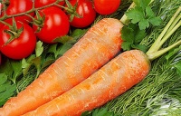 ����� ��������� �� ��-������� ��������, � �� ������