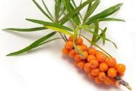 �������� - ����������� ��������, �������� ������ �������