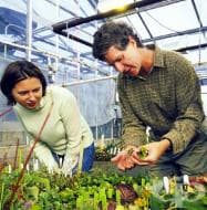 ������������� �� ���������� �� ������ ����� ����������