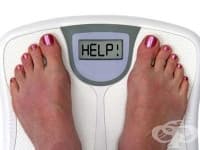 ����������...� ��������� - �������� ������������ �������