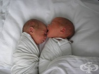 �� �������� ��� �������������� ���� �� ������ "�����������" ������