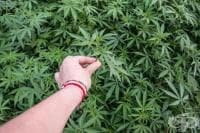 ������� ������ ����� ���������� �� ��������� � ���������