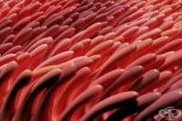 ������� ���, ����� ������� � ��������� �� �������� �� ����